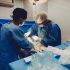 gastrointestinal stromal tumor surgery